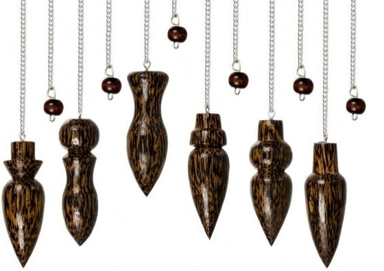 Coconut Pendulums